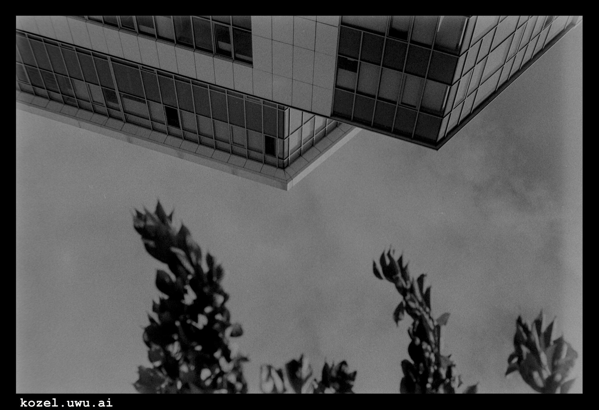 Town Hall in Katowice